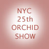 New York City Orchid Show *** April 2005